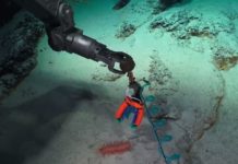 Soft grippers can be 3-D printed on board ships to safely sample different types of sea life