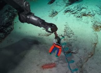 Soft grippers can be 3-D printed on board ships to safely sample different types of sea life