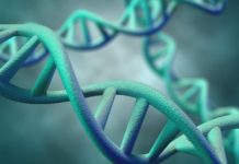 U.S. health officials are eliminating special regulations for gene therapy experiments, saying that what was once exotic science is quickly becoming an established form of medical care with no extraordinary risks
