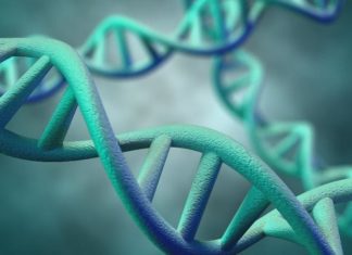 U.S. health officials are eliminating special regulations for gene therapy experiments, saying that what was once exotic science is quickly becoming an established form of medical care with no extraordinary risks