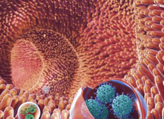 Virus transmission among humans : Researchers discover highly infectious vehicle