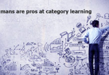 We humans are pros at category learning – the process can be influenced by where an object is in our field of vision