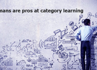 We humans are pros at category learning – the process can be influenced by where an object is in our field of vision
