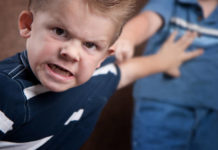 Identified some of the key neurobiological mechanisms that help keep aggression under control