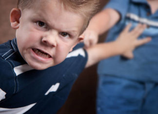 Identified some of the key neurobiological mechanisms that help keep aggression under control