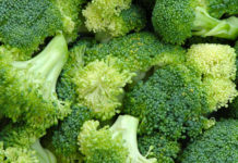 Researchers have found that a plant-based diet is more effective in preventing breast cancer later in life for the child if the mother consumed broccoli while pregnant