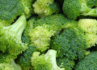 Researchers have found that a plant-based diet is more effective in preventing breast cancer later in life for the child if the mother consumed broccoli while pregnant