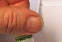 Found that a novel finger-prick test for infection with the parasite Toxoplasma gondii during pregnancy
