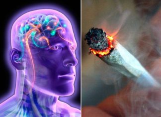 Same genes associated with the use of cannabis are also associated with certain personality types and psychiatric conditions