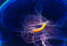 Researchers report transcranial alternating current stimulation applied during sleep can help accelerate learning, memory and skill acquisition