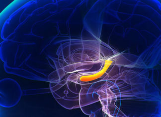 Researchers report transcranial alternating current stimulation applied during sleep can help accelerate learning, memory and skill acquisition