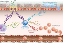 Researchers at RCSI and Trinity College Dublin have revealed insights into how the body clock controls the inflammatory response