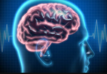 Pay attention to the ‘noise’ in your brain – reflects important changes in the brain