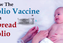 How could the polio vaccine have led to cases of the disease?