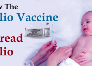 How could the polio vaccine have led to cases of the disease?