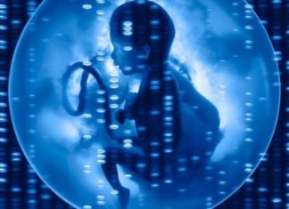 New research led by the South Australian Health and Medical Research Institute (SAHMRI) and the University of Adelaide has uncovered a significant hurdle for realising the potential benefits of gene editing in embryos