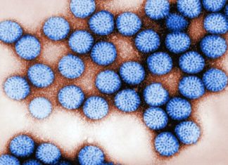 A major new study has shown that rotavirus vaccination reduced infant diarrhoea deaths by 34% in rural Malawi, a region with high levels of child deaths
