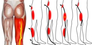 Performing simple leg exercises could reduce impact of sedentary lifestyle on heart and blood vessels
