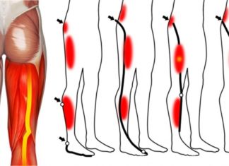 Performing simple leg exercises could reduce impact of sedentary lifestyle on heart and blood vessels