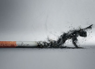 Washington State University researchers have created potential drugs to help curb smoking