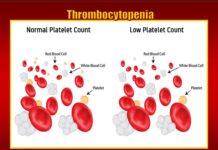 Doctors may be able to enlist a mysterious enzyme to stop internal bleeding