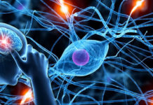 A novel therapy technique invented by researchers at The University of Texas at Dallas has been shown in a pilot study to double the rate of upper limb recovery in stroke patients