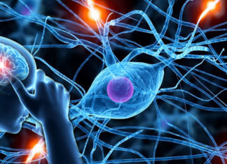 A novel therapy technique invented by researchers at The University of Texas at Dallas has been shown in a pilot study to double the rate of upper limb recovery in stroke patients