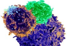 Ancient retrovirus HK2 is frequently found in drug addicts