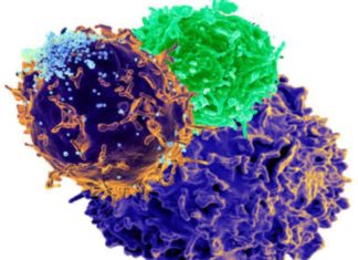 Ancient retrovirus HK2 is frequently found in drug addicts