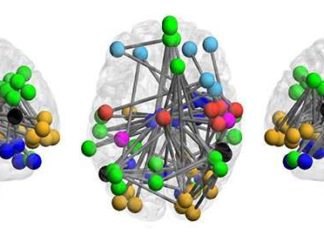 Brains of people at risk of psychosis exhibit a pattern that can help predict whether they will go on to develop full-fledged schizophrenia