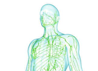 Researchers have discovered lymphatic vessels carry previously unknown messages from the brain to the immune system that triggers multiple sclerosis