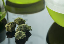 Cannabinoid drugs do not appear to reduce the intensity of pain, but may make pain feel less unpleasant