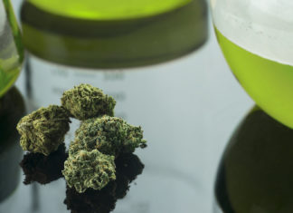 Cannabinoid drugs do not appear to reduce the intensity of pain, but may make pain feel less unpleasant