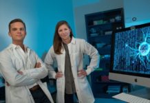 Glucose metabolism : Changes in the architecture around cancer cells can fuel their spread