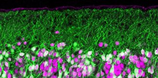Do you have a fine-tuned sense of smell ? : Say thank’s of your timing