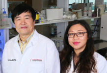 A treatment for highly aggressive and commonly fatal pancreatic cancer is being developed
