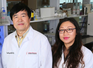 A treatment for highly aggressive and commonly fatal pancreatic cancer is being developed