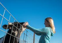 Exposure to farmyard microbes was already known to protect children from developing asthma in epidemiological studies