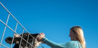 Exposure to farmyard microbes was already known to protect children from developing asthma in epidemiological studies
