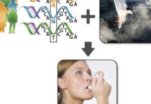 Asthma patients exhibit more intense symptoms following exposure to traffic pollution