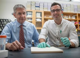 Inflammation plays an important role in preventing heart attacks and strokes
