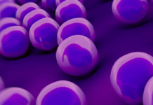 The Australian National University (ANU) : New approach needed in the fight against superbugs