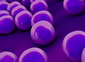 The Australian National University (ANU) : New approach needed in the fight against superbugs