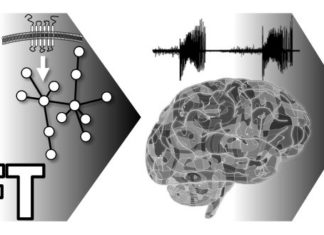 New approach that promises to speed up the discovery of future drugs