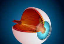 Newly formed blood vessels may be cracks in the barrier between the bloodstream and the eye