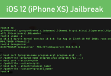 Pangu Hackers have Jailbroken iOS 12 on Apple’s New iPhone XS