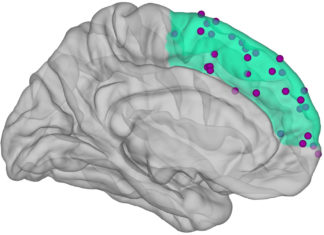 People blink every five seconds. During this brief moment, no light falls on the retina, yet people continue to observe a stable picture of the environment with no intervals of darkness