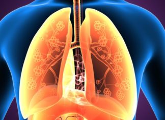 Persistent lung inflammation may be one possible explanation for why having asthma during childhood increases your risk for developing anxiety later in life