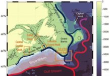 Rapid deoxygenation in the Gulf of the St. Lawrence