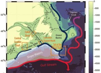 Rapid deoxygenation in the Gulf of the St. Lawrence